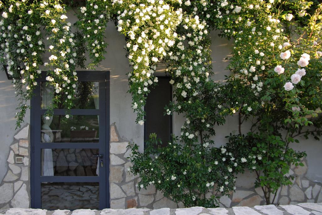 Agriturismo Arte Et Agricoltura 투스카니아 외부 사진
