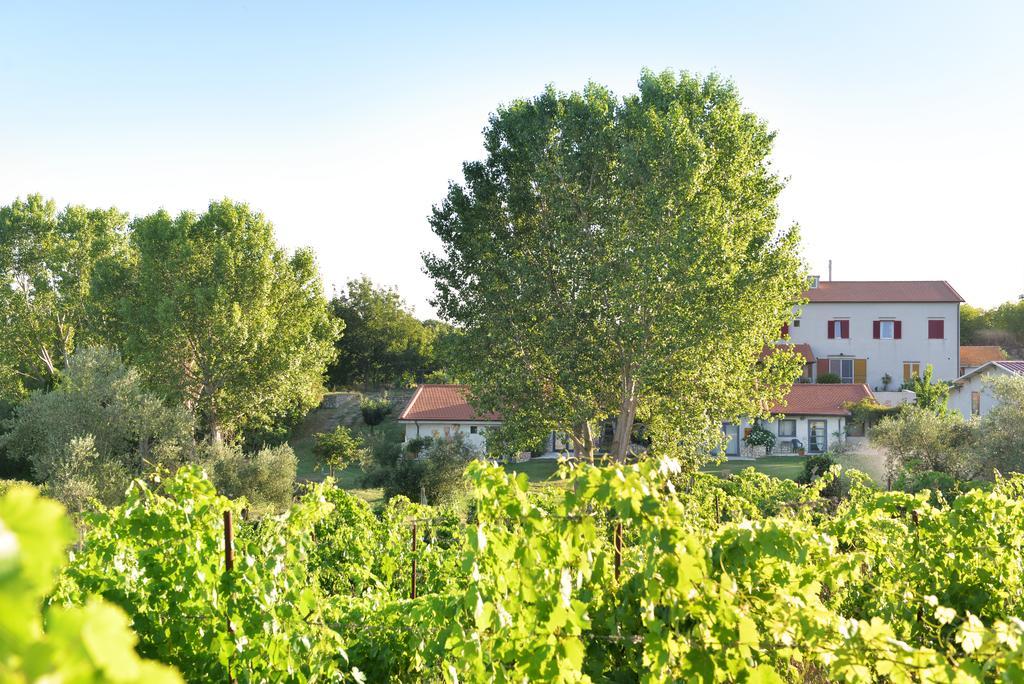 Agriturismo Arte Et Agricoltura 투스카니아 외부 사진