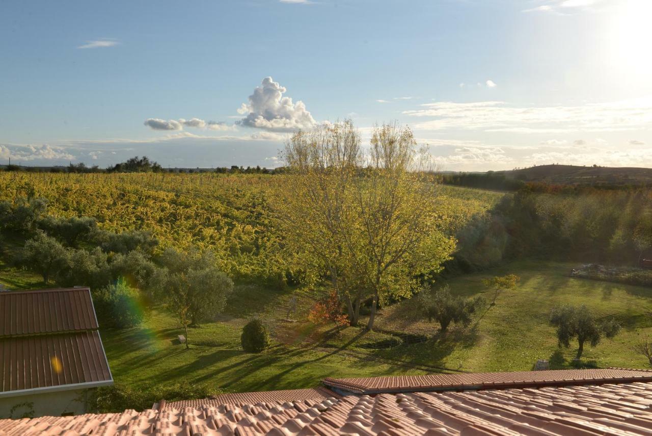 Agriturismo Arte Et Agricoltura 투스카니아 외부 사진